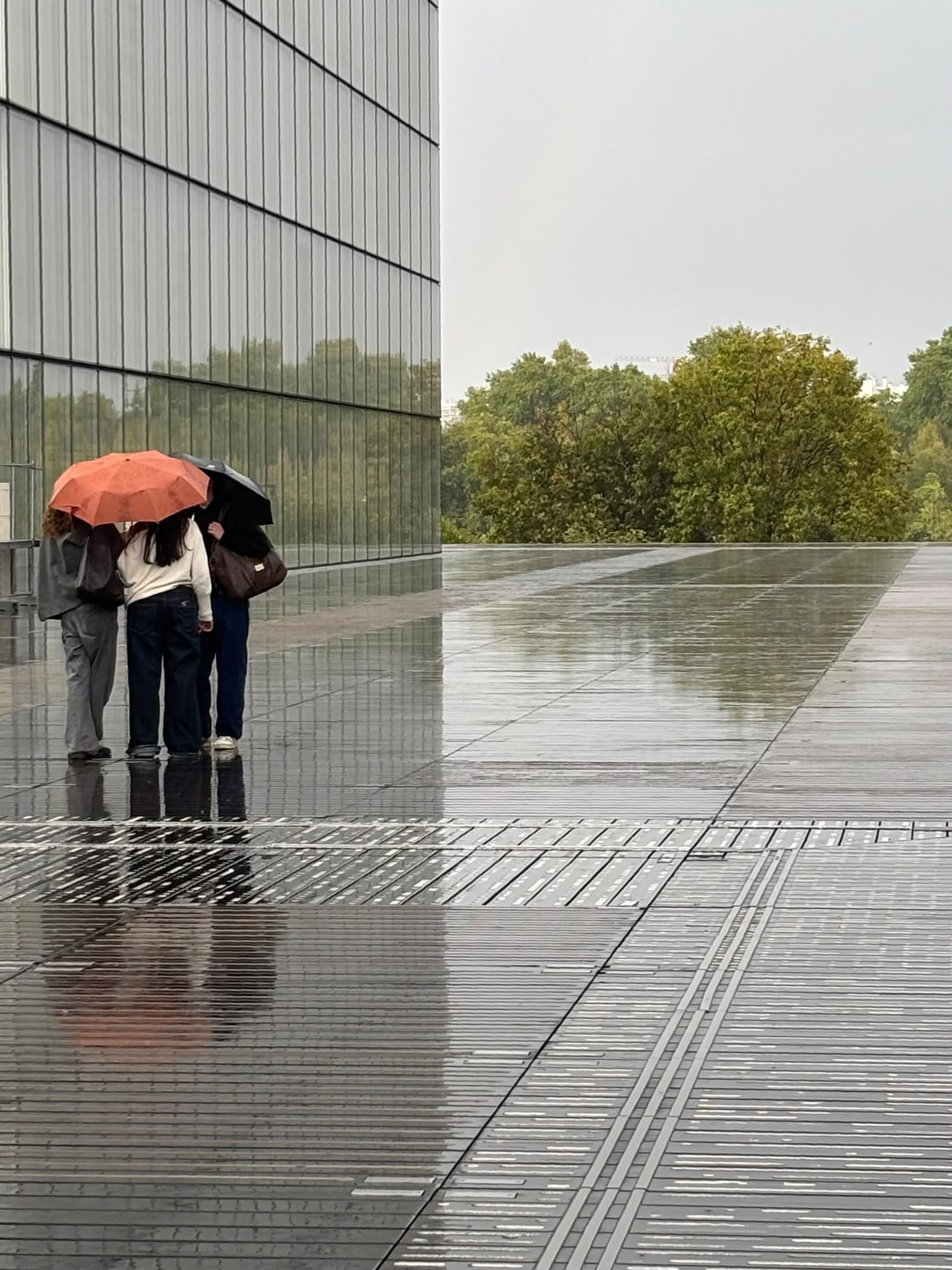 Parapluies sur l'esplanade sous la pluie