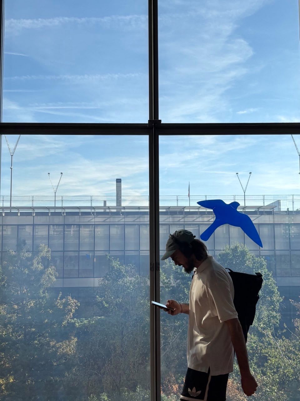 Silhouette devant une baie vitrée et un oiseau bleu
