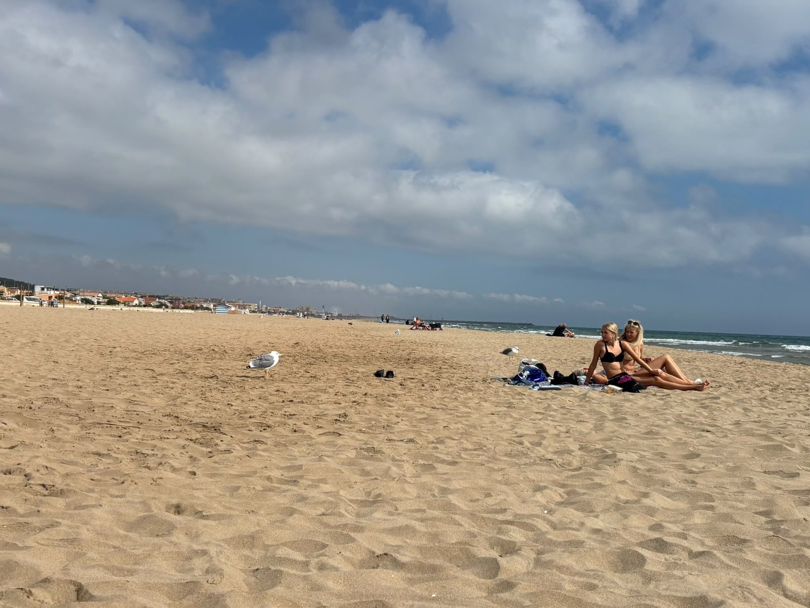 Plage presque déserte, mouettes et serviettes au soleil