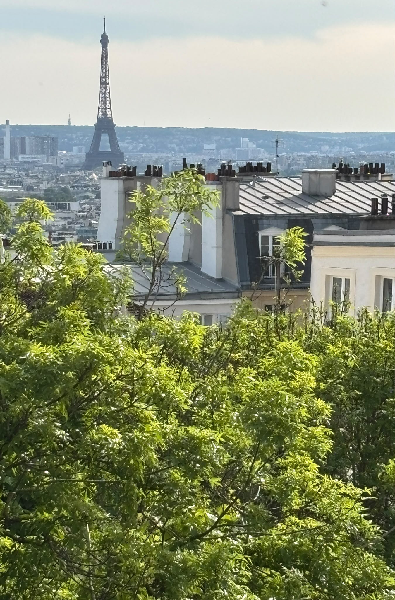 La tour Eiffel au-dessus des toits de Paris