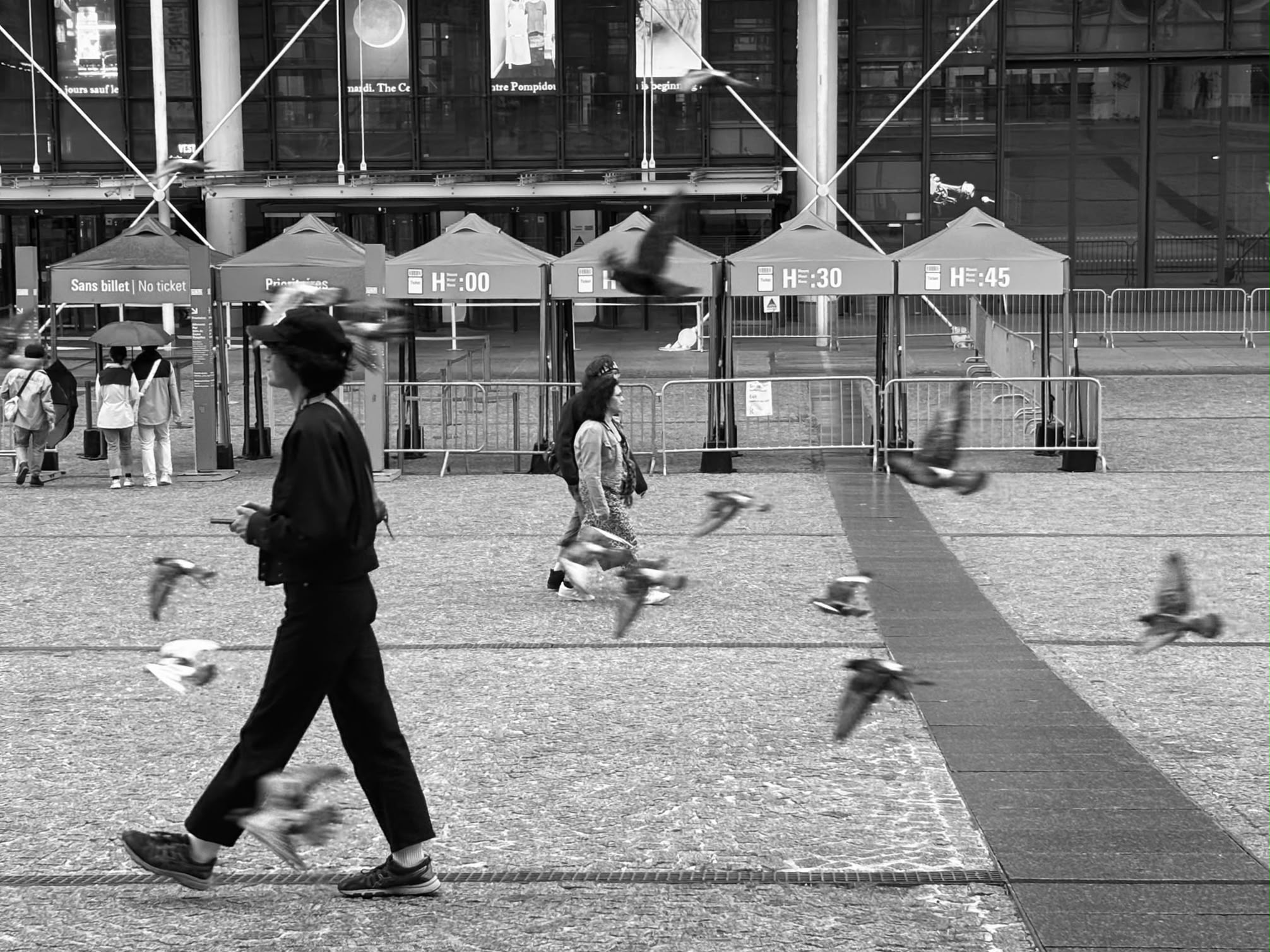 Passants et pigeons en noir et blanc