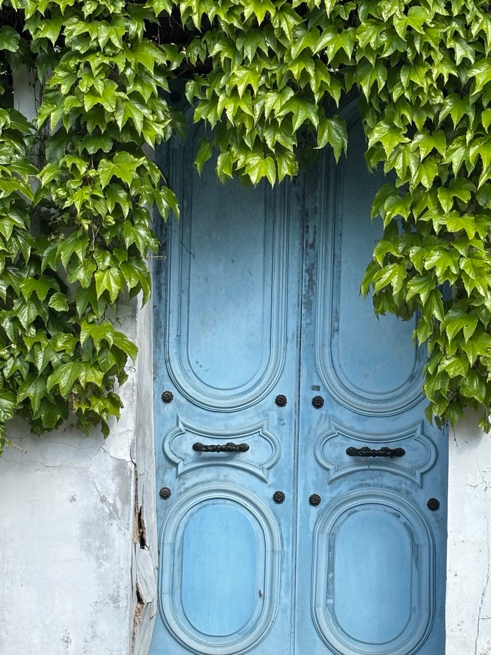 Porte bleue sous le lierre