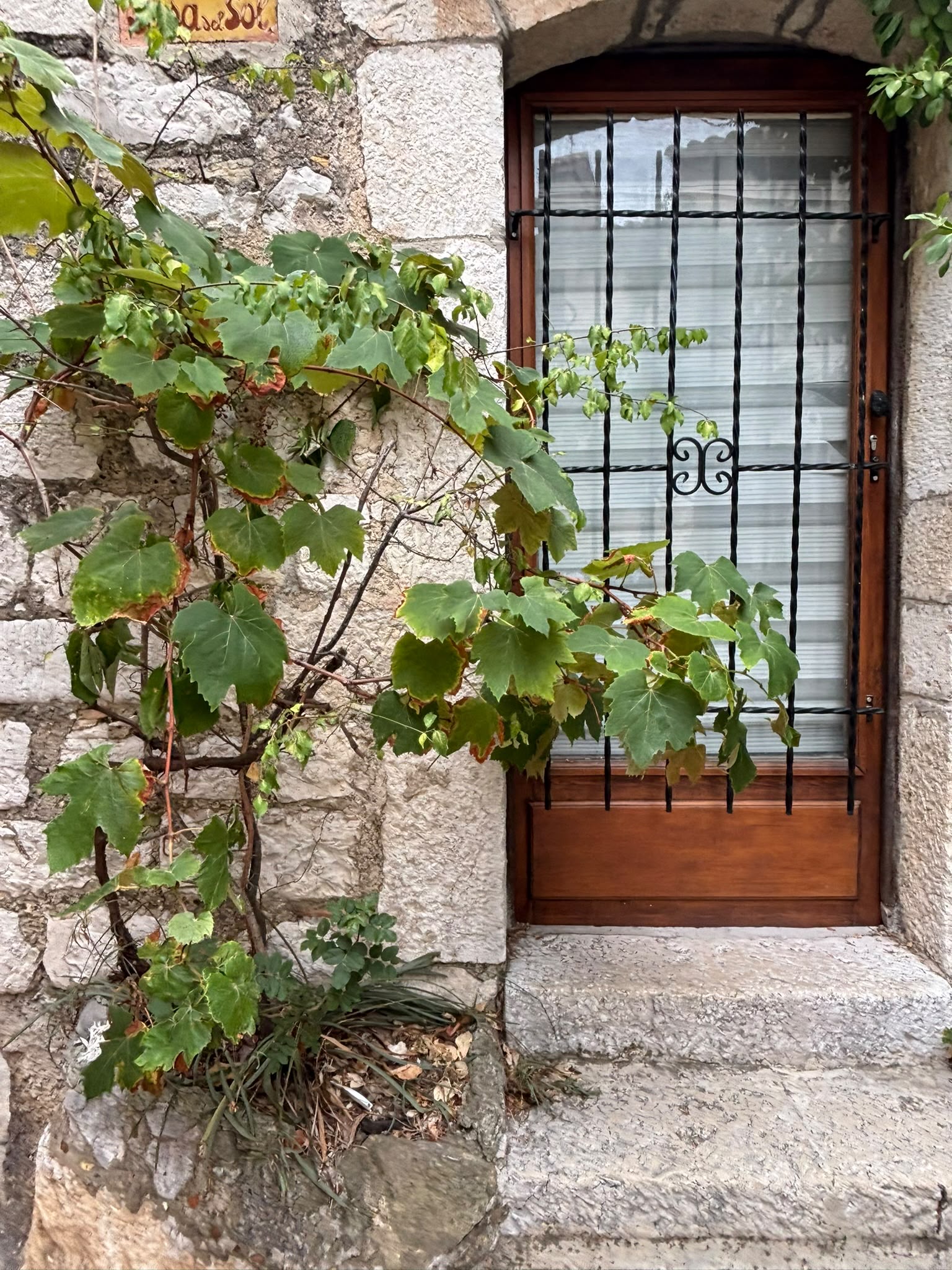 Porte de bois et vigne grimpante