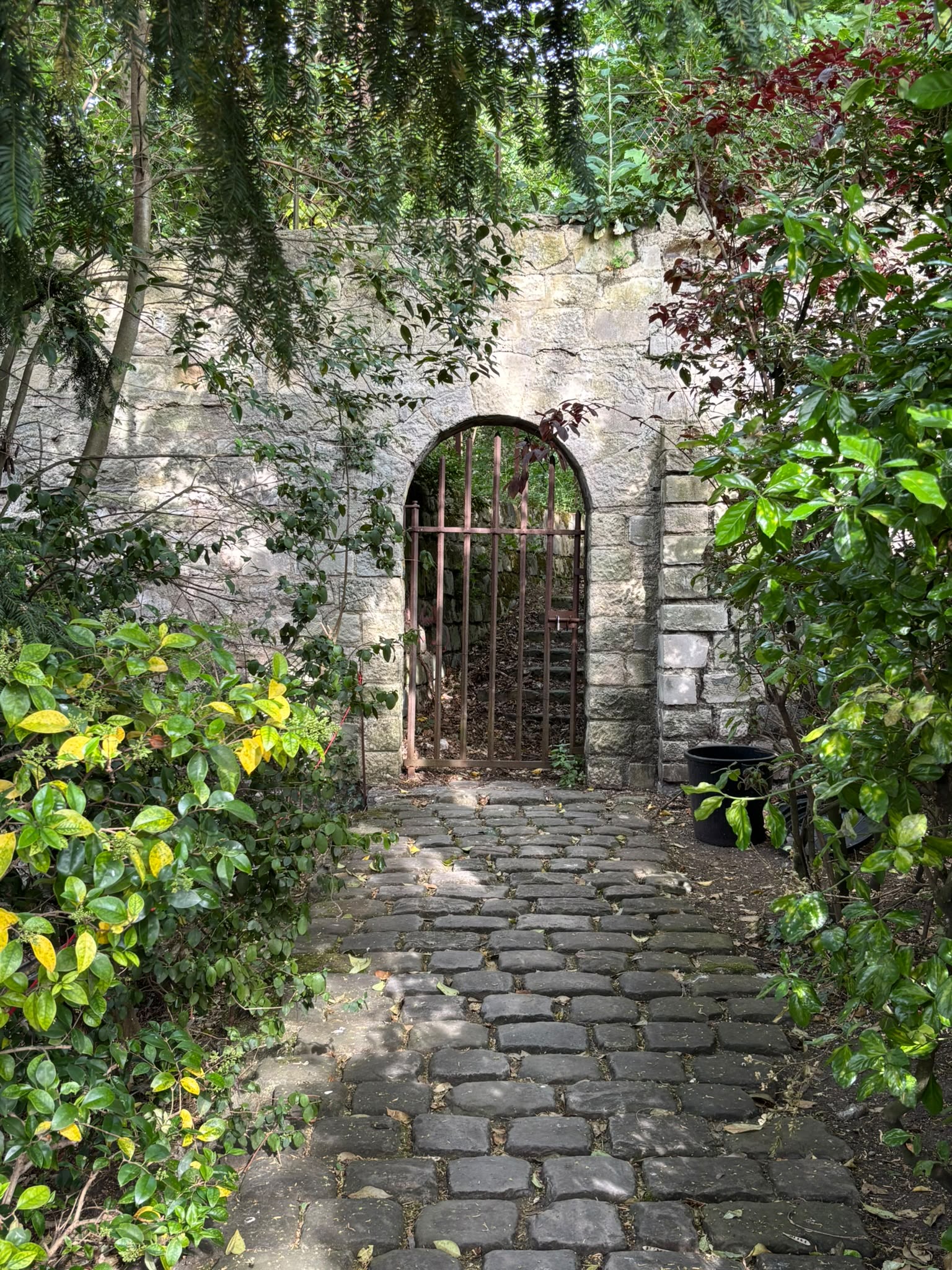 Porte cintrée en fer forgé au fond d’un jardin