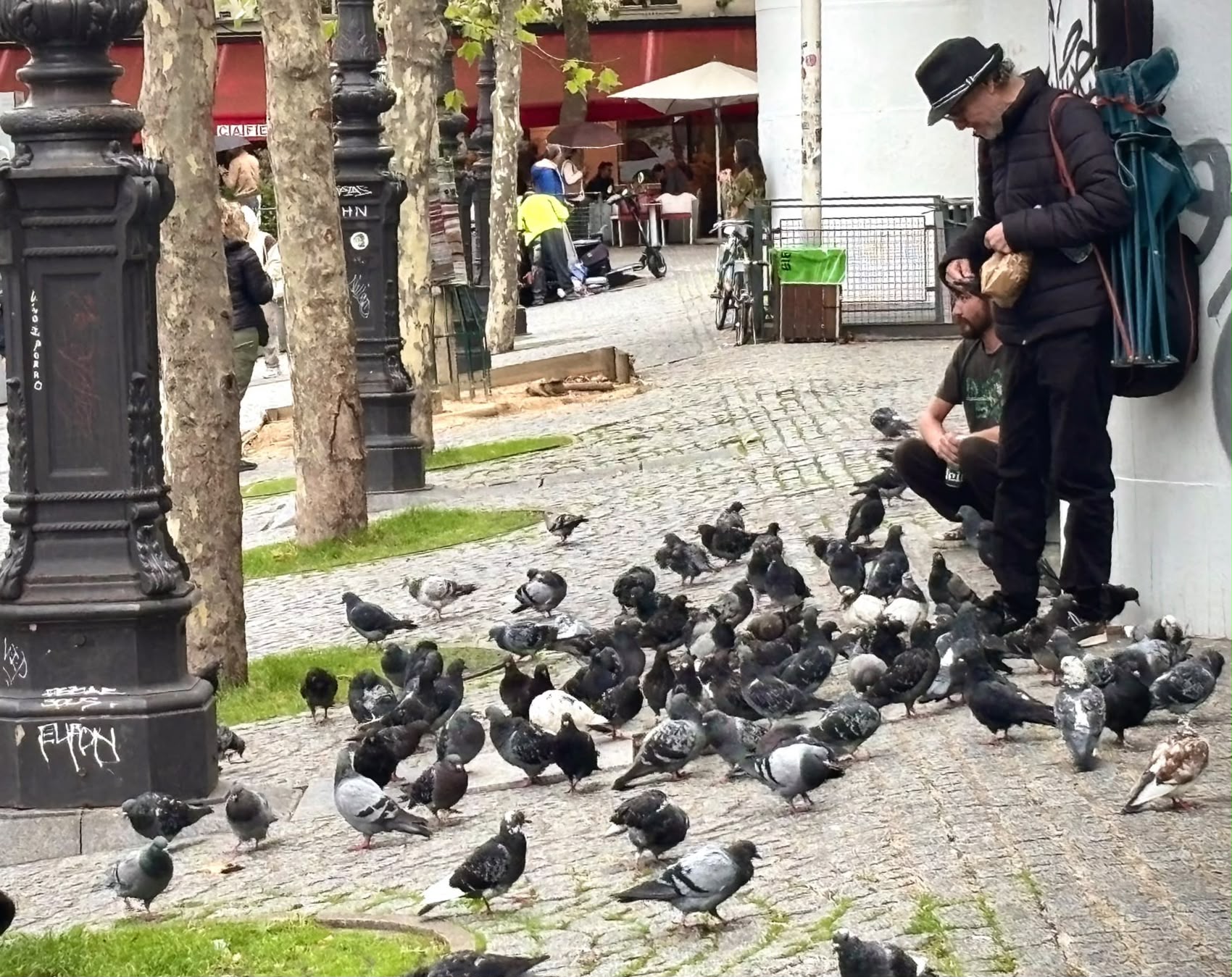 Pigeons sur les pavés